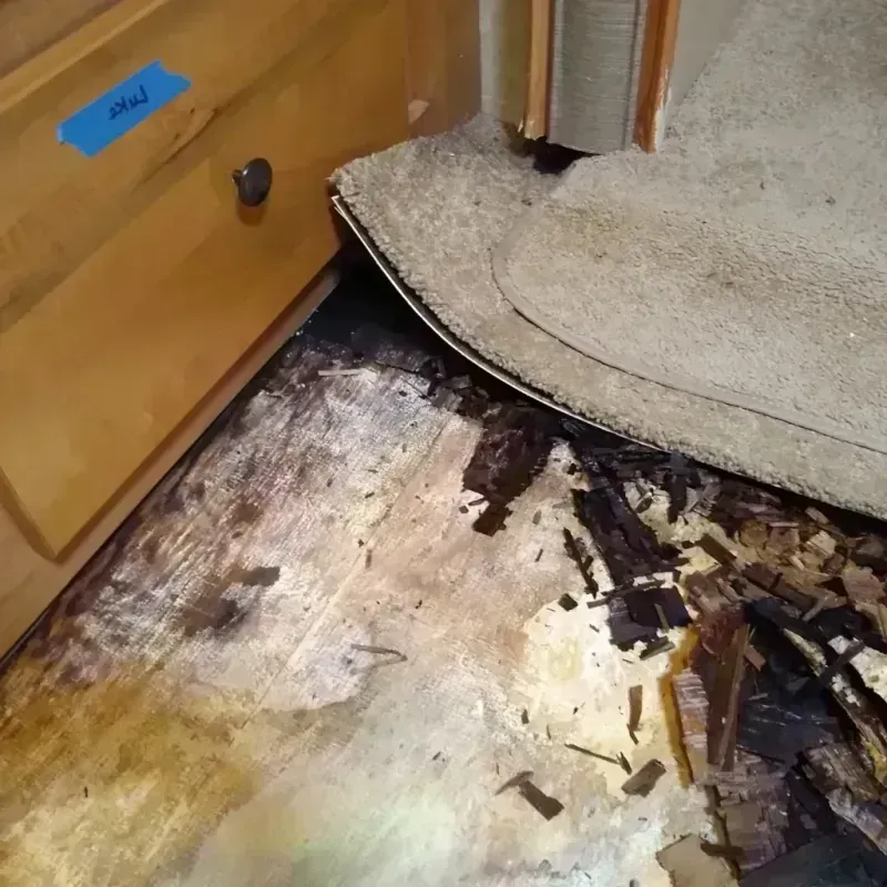 Wood Floor Water Damage in Ripley, OH